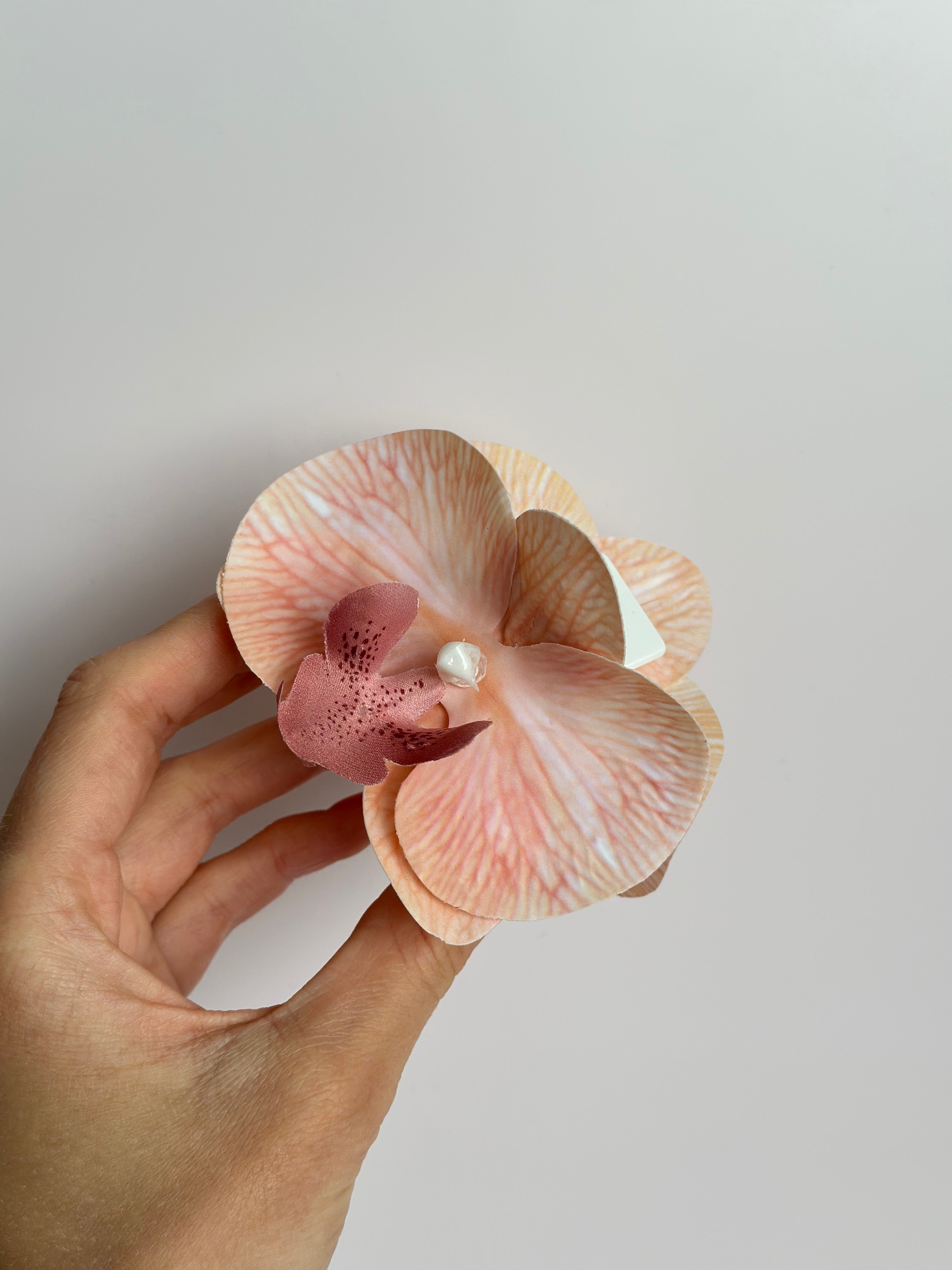Lys Fersken Orkidé Hårklemme – 5 cm Acetat