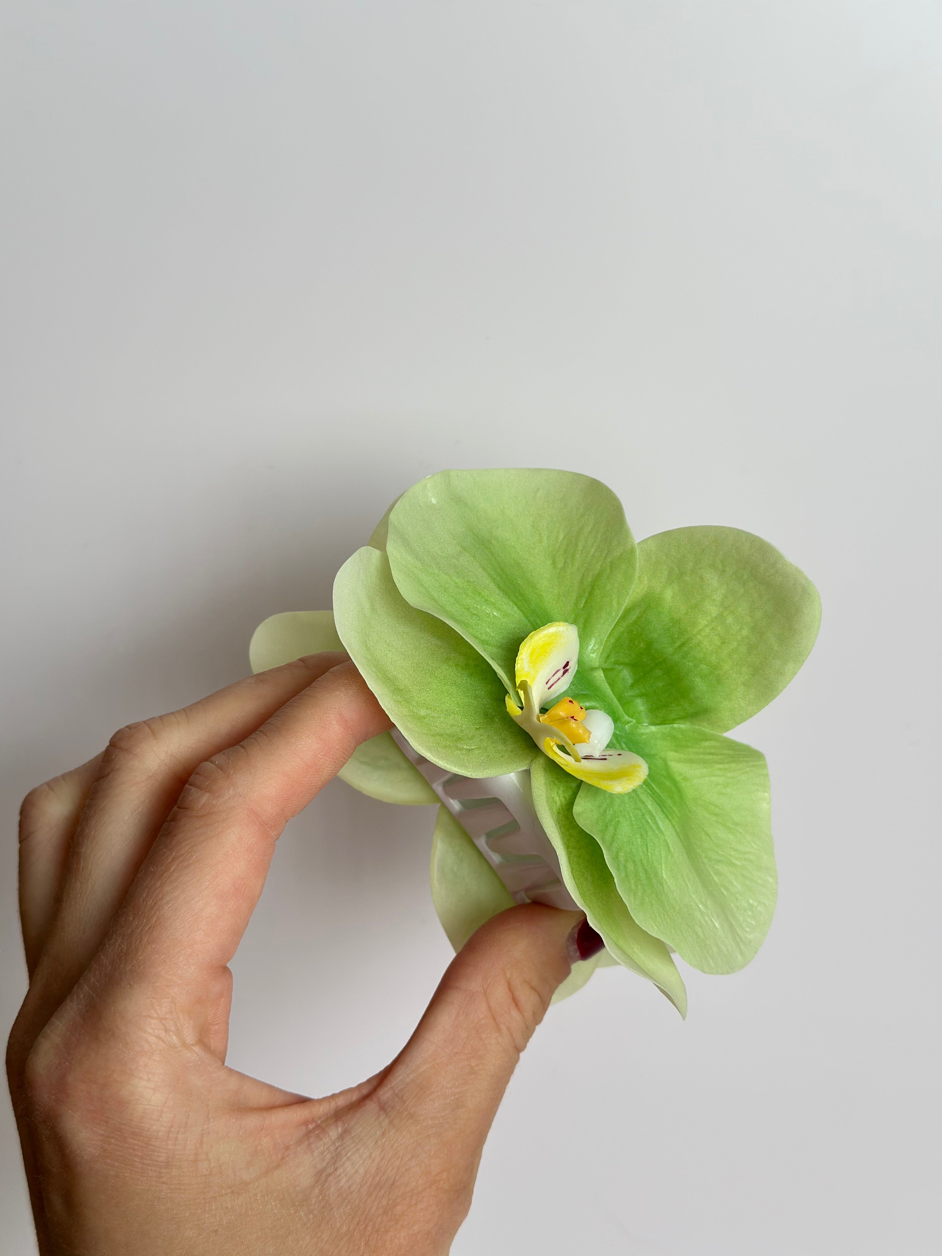 Grøn Orkidé Hårklemme – 5 cm Acetat