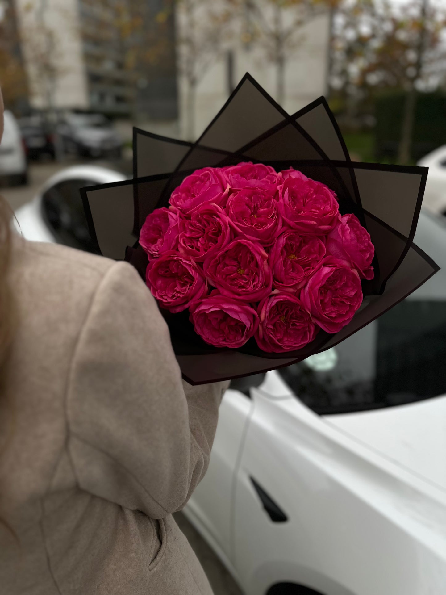 Deep Pink Austin Rose Blomster, in hand