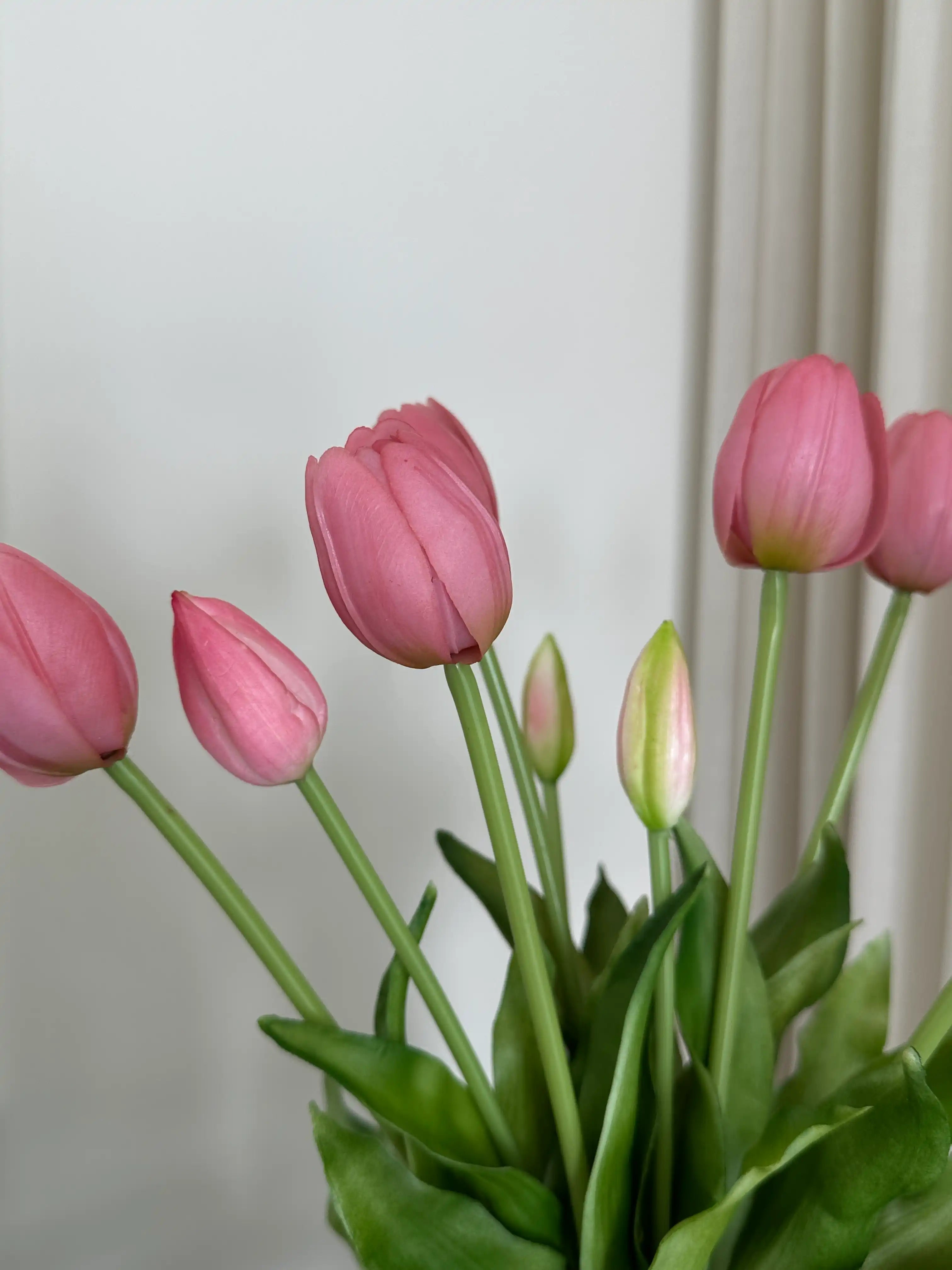 Nærbillede af mørkerosa tulipan i vase