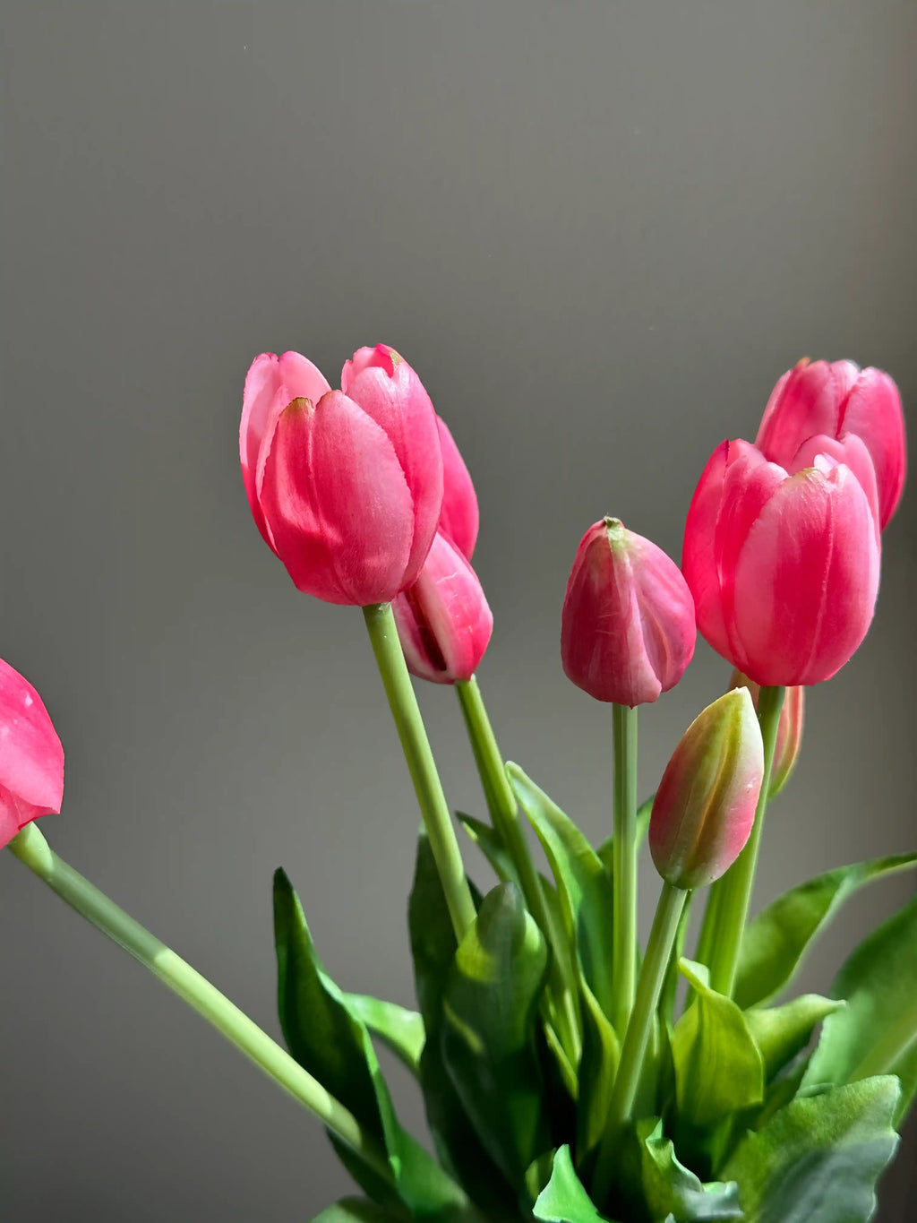 Røde naturtro tulipaner i buket closeup