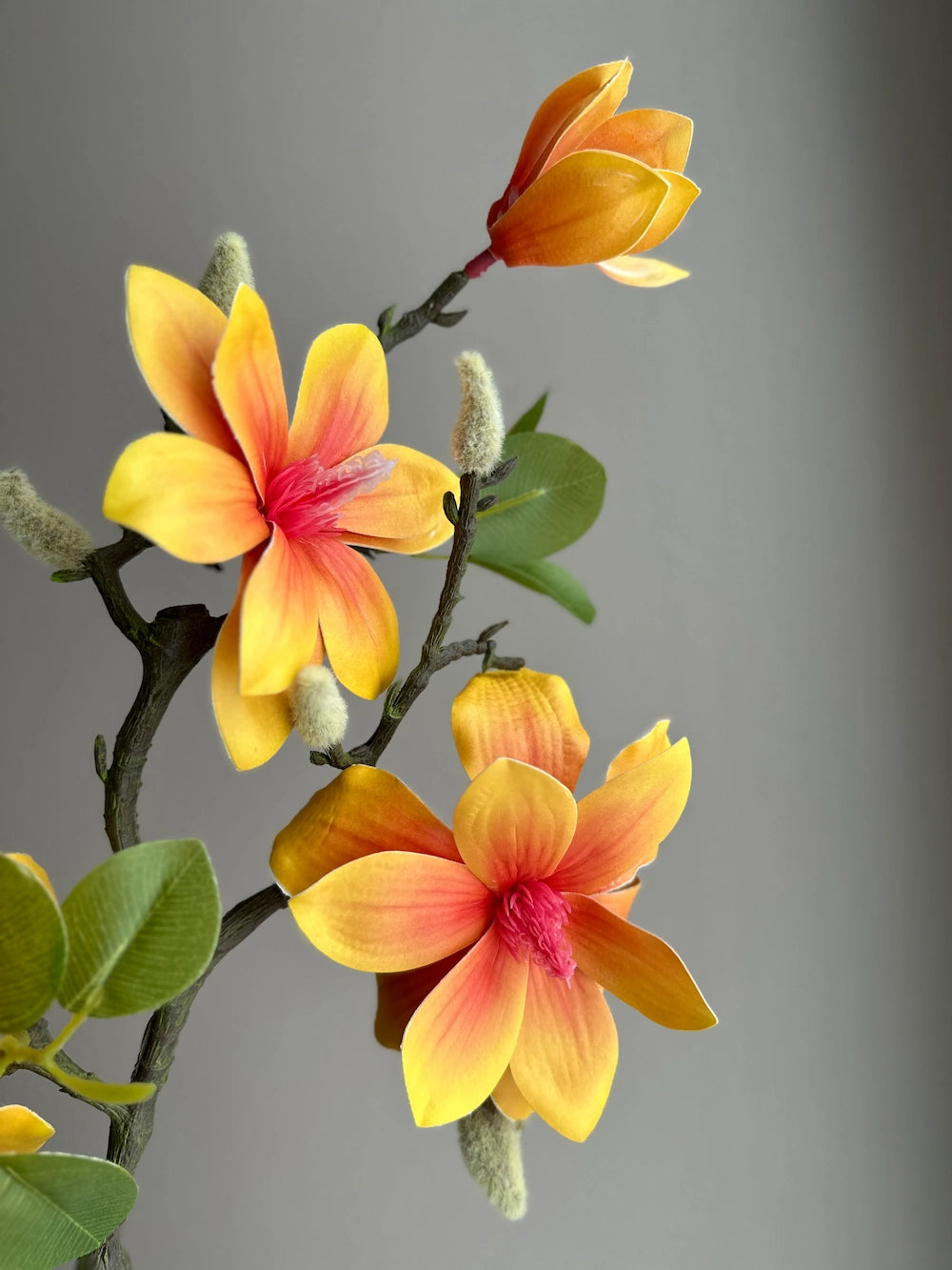 Evighedsblomster – orange magnolia i vase som smuk blomster dekoration